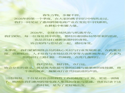 惠州市跨境电子商务行业协会2026年第一季度工作简报