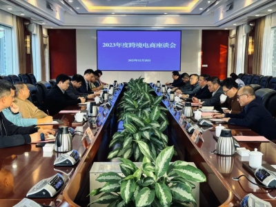 惠州市跨境电子商务专家顾问团座谈会共谋高质量发展，打造良性生态圈
