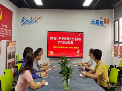 中共惠州市跨境电子商务行业协会支部委员会深入学习《中国共产党纪律处分条例》